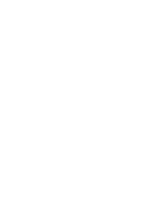 cu29-logo-R-vit